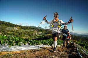 BIB: 6900
                            <button type="button" onclick="openModal(19121834)" class="btn btn-primary btn-sm float-right btn-popup" data-toggle="modal" data-target=".modal-high-quality">
                        <i class="fas fa-shopping-cart"></i> Add to Cart
                    </button>
                                            <button type="button" onclick="isThisMe(19121834, true)" class="btn btn-success btn-sm float-right btn-popup btn-isme hidden" data-toggle="tooltip" data-placement="bottom" title="นี่คือรูปของคุณใช่ไหม คลิกที่นี่เพื่อเอาเข้าอัลบั้ม">
                        <i class="fas fa-plus"></i> Add to album
                    </button>
                    <button type="button" onclick="isThisMe(19121834, false)" class="btn btn-warning btn-sm float-right btn-popup btn-isnotme hidden">
                        <i class="fas fa-ban"></i> Remove from album
                    </button>